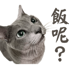 Geoteemo_20260627001428