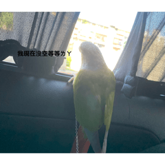 古故姑