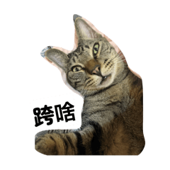 范小堡專屬