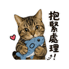 方小柚的日常