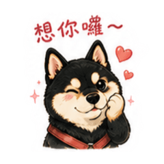 黑柴的甜言蜜語