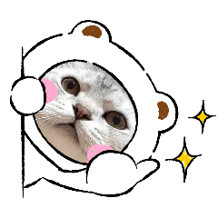 Miffy’sDay