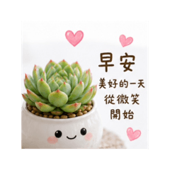 心花開小貼圖 12 多肉植物問候篇