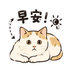 168貓屋 花花
