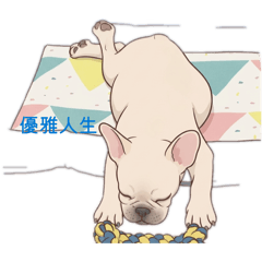 鬥鬥的牛馬人生
