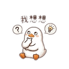 小雞得假日生活