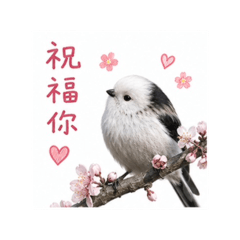 活力小貼圖 48 長尾山雀祝福篇