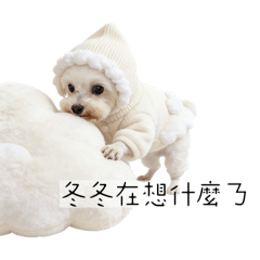 在汪星天堂睡覺的冬冬