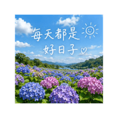 心花開小貼圖 13 繡球花祝福篇