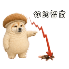 汪汪先輩