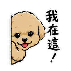 我是林Money