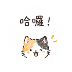 三花貓自製貼圖～