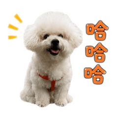 伯爵來了