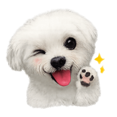 小狗狗麻糬