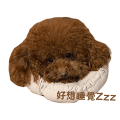 偶4米奇 趴兔