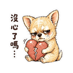 長毛吉娃娃阿吉戀愛腦系列-情勒篇