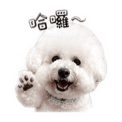 Beibei&xuan