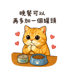 橘子的日常（2）