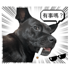 黑狗的心情^^