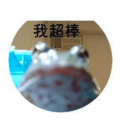 蛙蛙生活貼圖