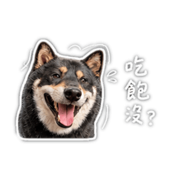 阿熊生活篇 第一彈