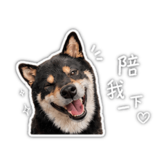 我是阿熊 生活篇第二彈