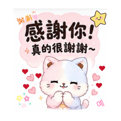 星貓之職場用語