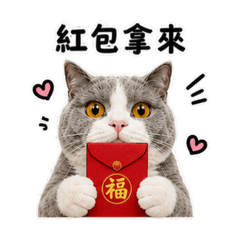 姆姆節日上線中