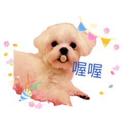 瑪爾圓又圓