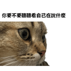 薩西米啦喵～