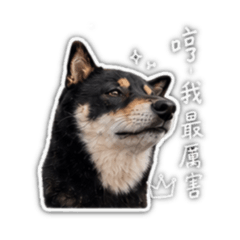 阿熊生活篇 第三彈