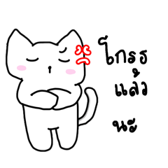 Kaidaw_20260719144835