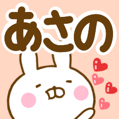 Rabbit Usahina asano