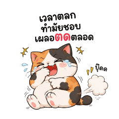 Calico Cat, Zero Chill