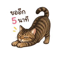 A cute brown cat