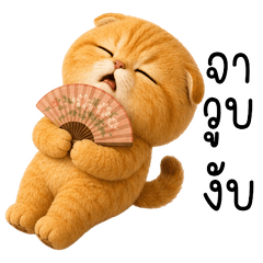 Mikan Honey Fold Cat
