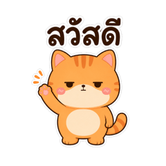 Ma-Nguem: The Deadpan Orange Cat