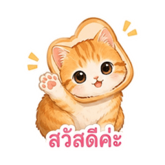 อ้ายเหมียวทรงงานน