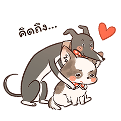 Rakko & Kamo