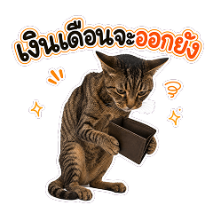 เหมียวลายทำงาน