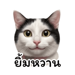 JJ My Pretty Cat (ai)