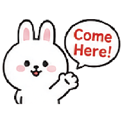 Cute Lovely Rabbit Bear  Daily Love8