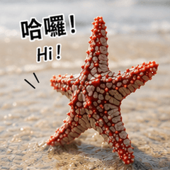 海星心情語錄
