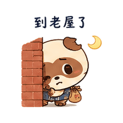 Arcade Pouch Raccoon | Night Watch