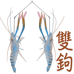 Come shrimp fishing