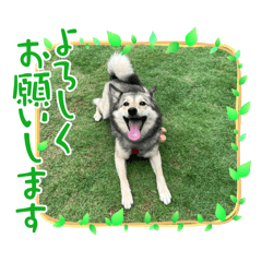 mayu_20260727232022