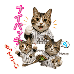 Baseball Cat: Cheering Stickers