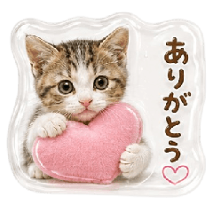 Puffy Everyday Cute Healing Cat