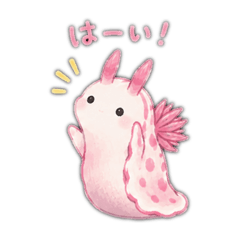 saya_20260727200609