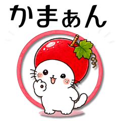 Yamanashi Red Grape Cat:  Koshu Dialect